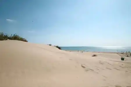 Тефия - 20