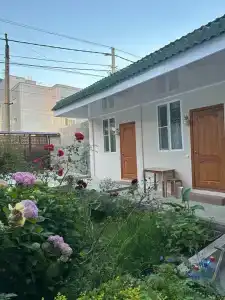 Колибри - 2