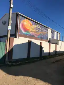 Медуза - 116