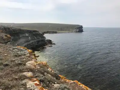 Медуза - 118