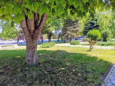 Ракушка Анапа - 3
