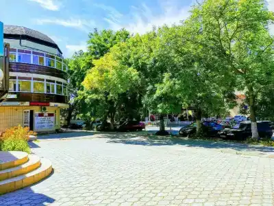 Ракушка Анапа - 1