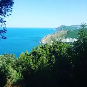 Морской - 2