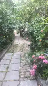 на Ялтинской 2 - 40