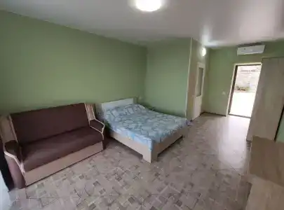 Дельфин - 32