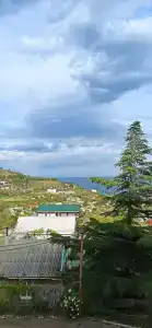 Дельфин - 38