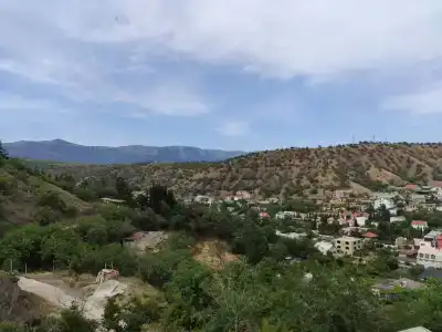 Дельфин - 50