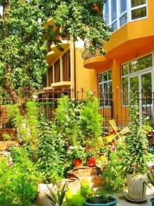 Гостевой дом у Веры - 0