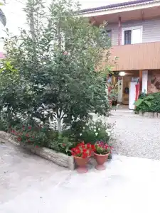 Отдых у Андрея - 3