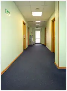 Колибри - 2