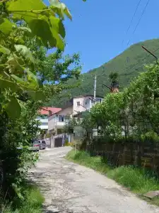Тея - 1