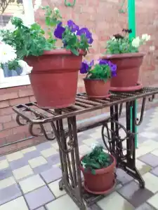 У диади Саши - 27