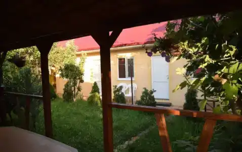 У Полины - 1