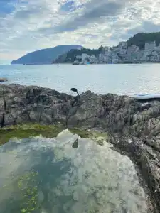 Эллинг214 - 12