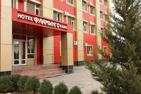 Фламинго - 1