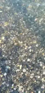 Солнышко - 2