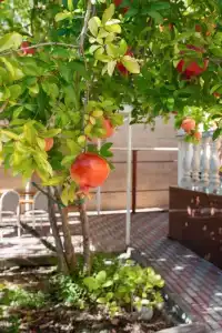 Малахит+ - 7
