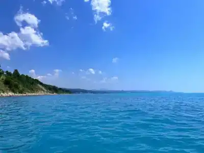 Лес у моря - 1