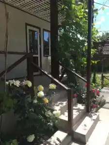Лес у моря - 4