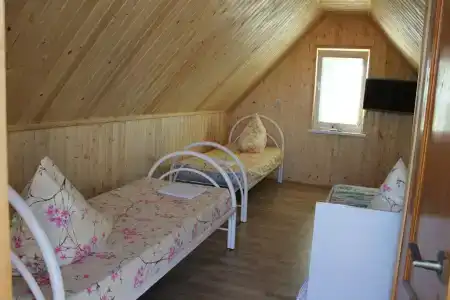 Тимофеевский - 54