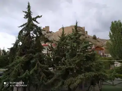 Семейный - 49