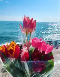 Морской бриз - 5