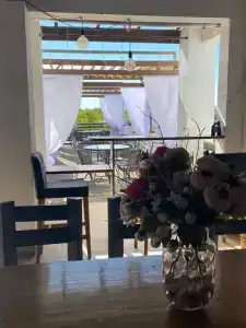 Grand Camellia - 9
