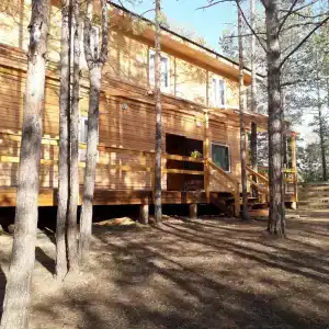 Ольхонский Лес - 0