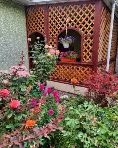Райский уголок - 4