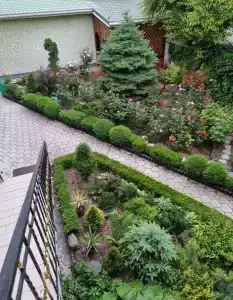 Райский уголок - 6