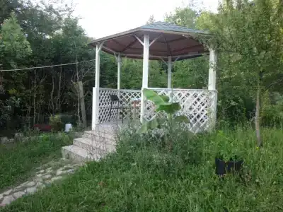 Бирюза - 3