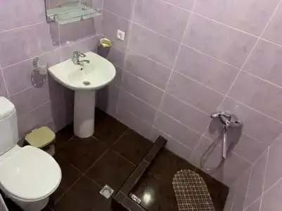 Диана - 16