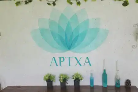 Артха - 1