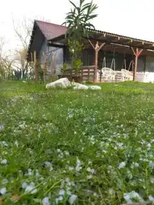 Артха - 12