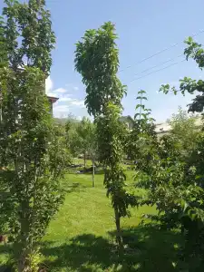 Шале с Видом на Эльбрус - 25