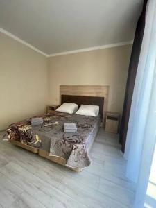 Золотой абрикос - 19