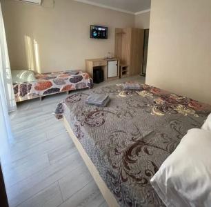 Золотой абрикос - 20