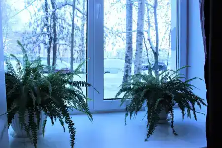 у Политехнической - 2