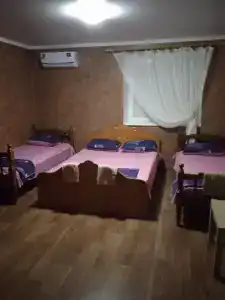Спутник - 9