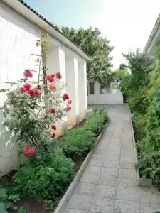 Белый - 96