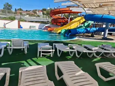 Ирбис - 36