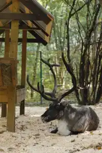 Юрьевское подворье - 6