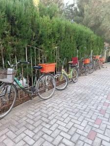 La Veranda - 38