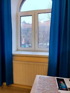 Золотой Клевер - 124