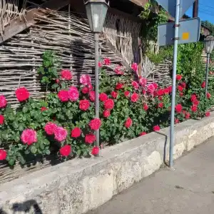 Круиз - 57