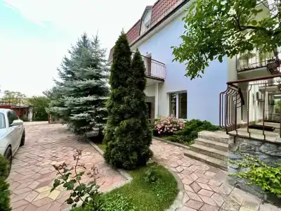 Южный Кедр - 3
