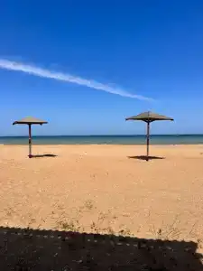 Holidays - 1