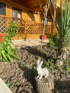 Holidays - 3