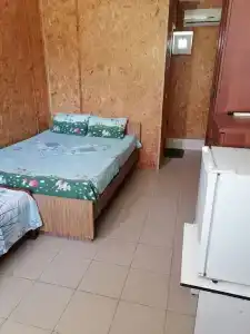 Лесная поляна - 25