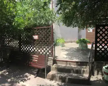 Кипарис - 2
